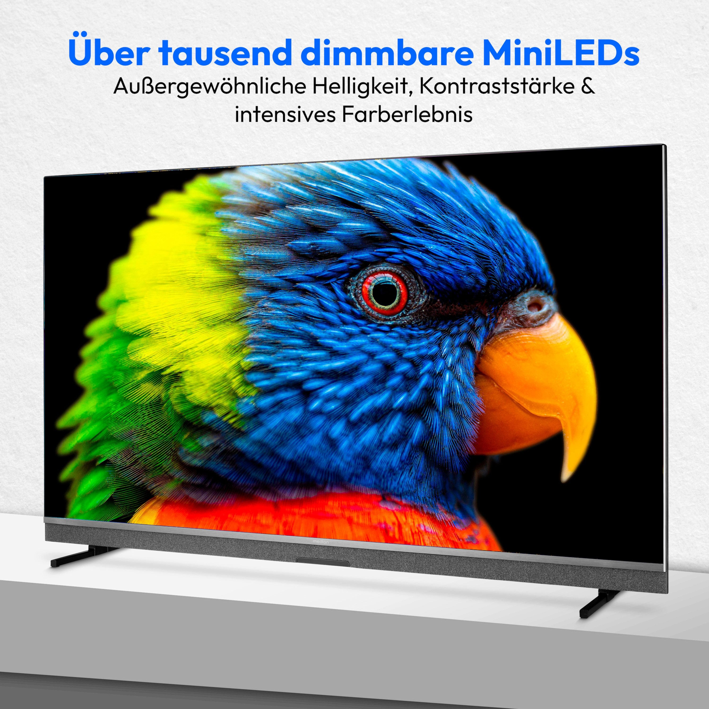 Medion® MD855900 Mini-LED-Fernseher (138.8 cm/55 Zoll, 4K Ultra HD, Smart-TV, Dolby Vision, Dolby Atmos, Netflix, HBO Max, Prime Video, Disney)