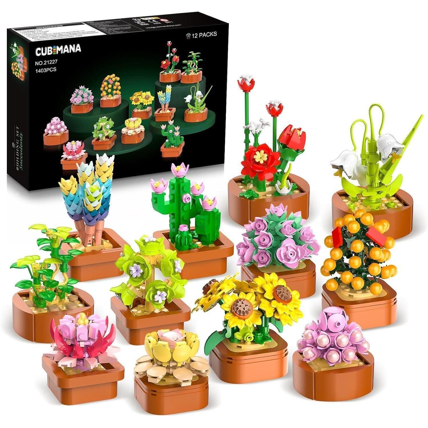 LuxusKollektion Spielzeug-Adventskalender Sukkulenten Mini Bausatz 3.6MM günstig online kaufen