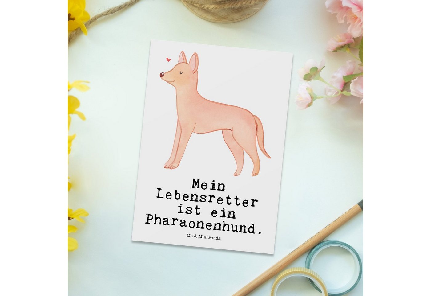 Thumbnail - Mr. & Mrs. Panda Postkarte Pharaonenhund Lebensretter - Weiß - Geschenk, Welpe, Einladungskarten, Charmante Designs