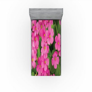Spannbettlaken Soft Dekorativer Stoff Bettwäsche Rund-um Elastischer Gummizug, Abakuhaus, Pelargonien Pinkish Blumen und Blätter