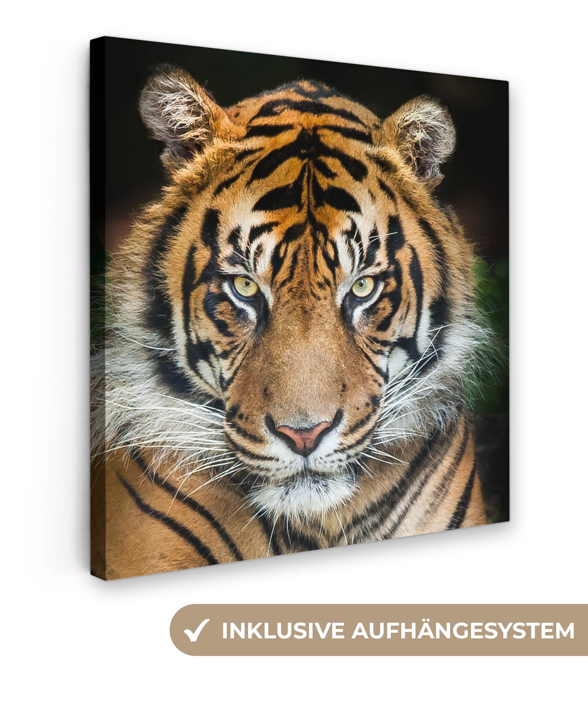 OneMillionCanvasses® Leinwandbild Tiger - Schwarz, Fotodruck (1 St), Wandbi günstig online kaufen