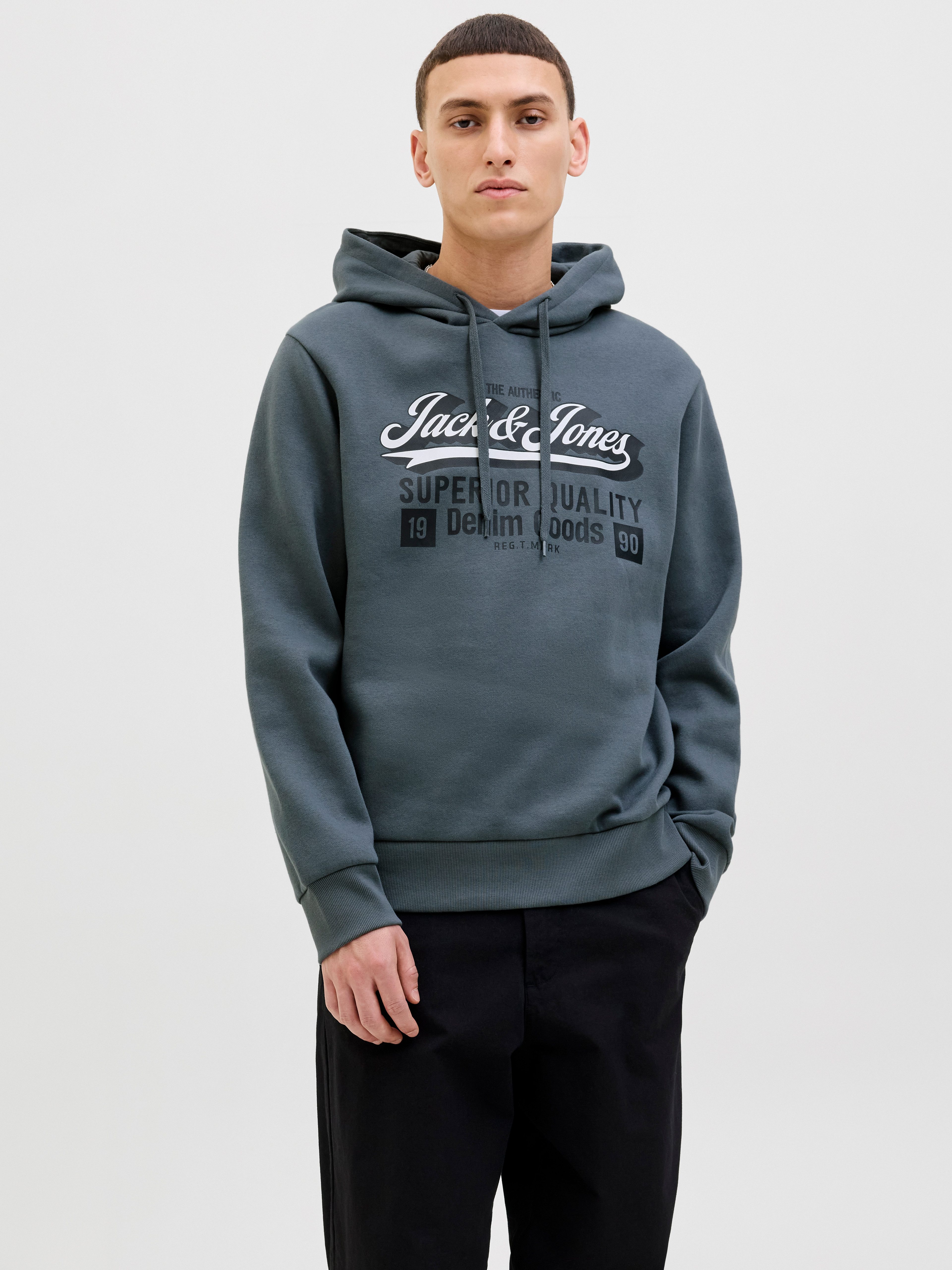 Kapuzensweatshirt JJELOGO SWEAT HOOD 2 COL 25/26 NOOS