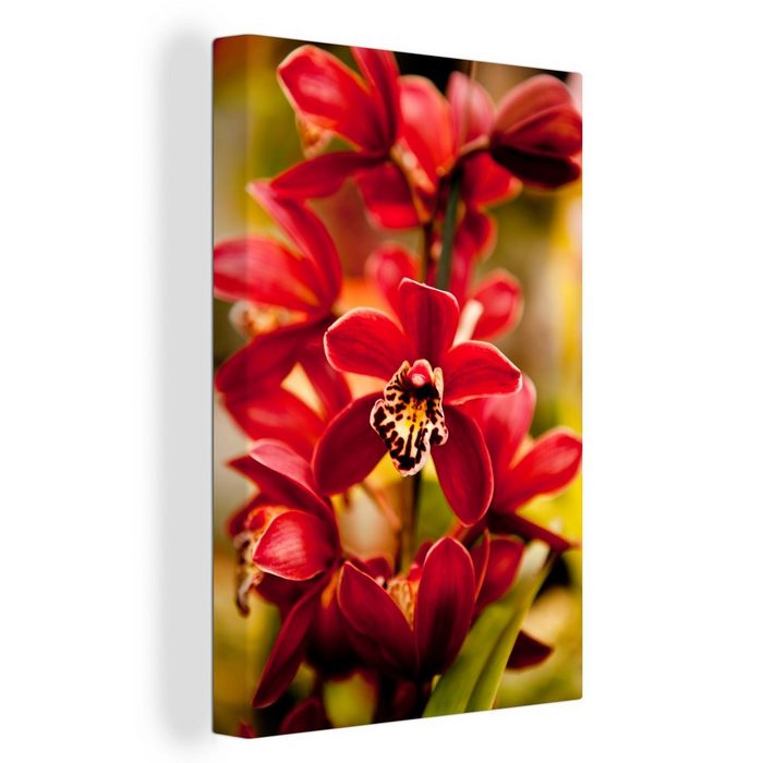 OneMillionCanvasses® Leinwandbild Rote Orchideen mit verblasstem Hintergrund (1 St) Leinwand Bilder für Wohnzimmer Schlafzimmer