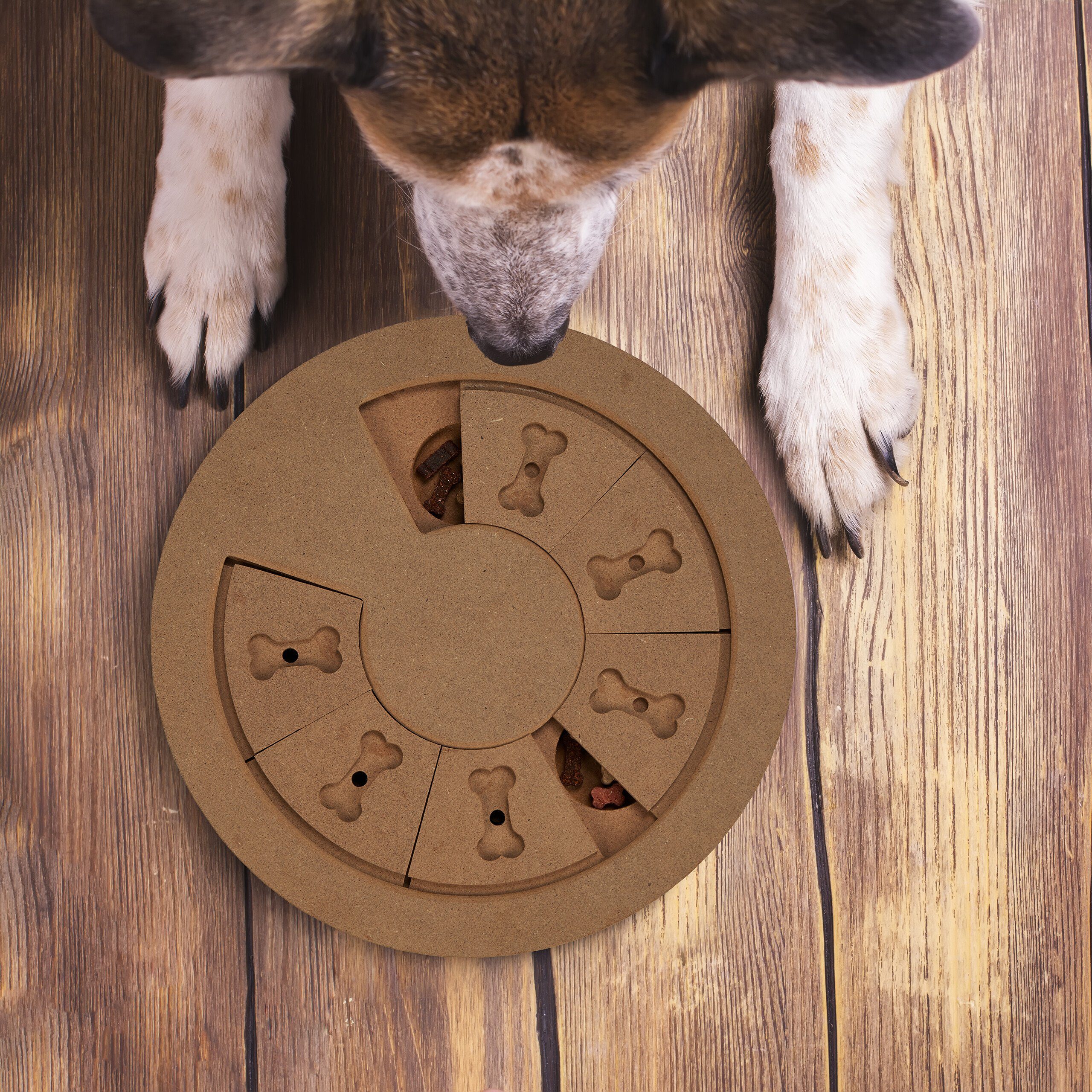 relaxdays Tier-Intelligenzspielzeug Intelligenzspielzeug für Hunde, Faserpl günstig online kaufen