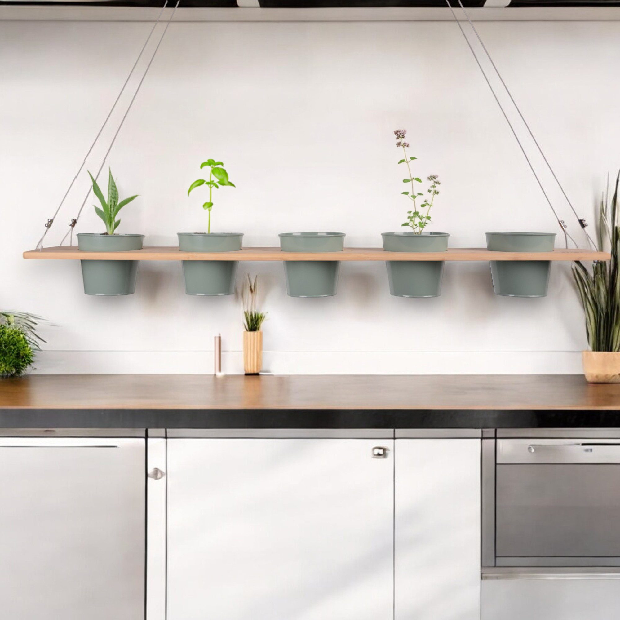 UNUS HOME Blumenkasten Kräuterbar, Pflanzenbar (100cm, grün), Stabile Drahtseilaufhängung, hängende Kräutertöpfe