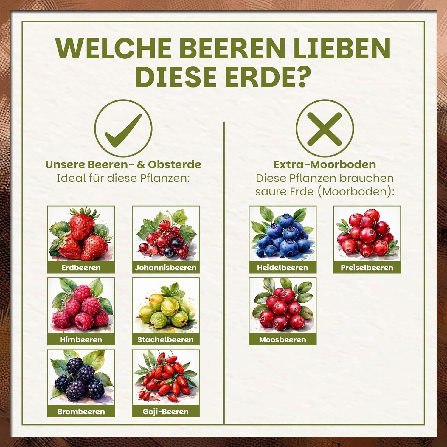 GREEN HOME LOVE NATURE Spezialerde Beerenobst Erde – Substrat für Erdbeeren, Obst- und Beerenpflanzen 18 L, 36 L, 72 L, Bio-Qualität, Perlite, NPK 14-10-18 + CoteN, pH 5,8, Langzeitwirkung