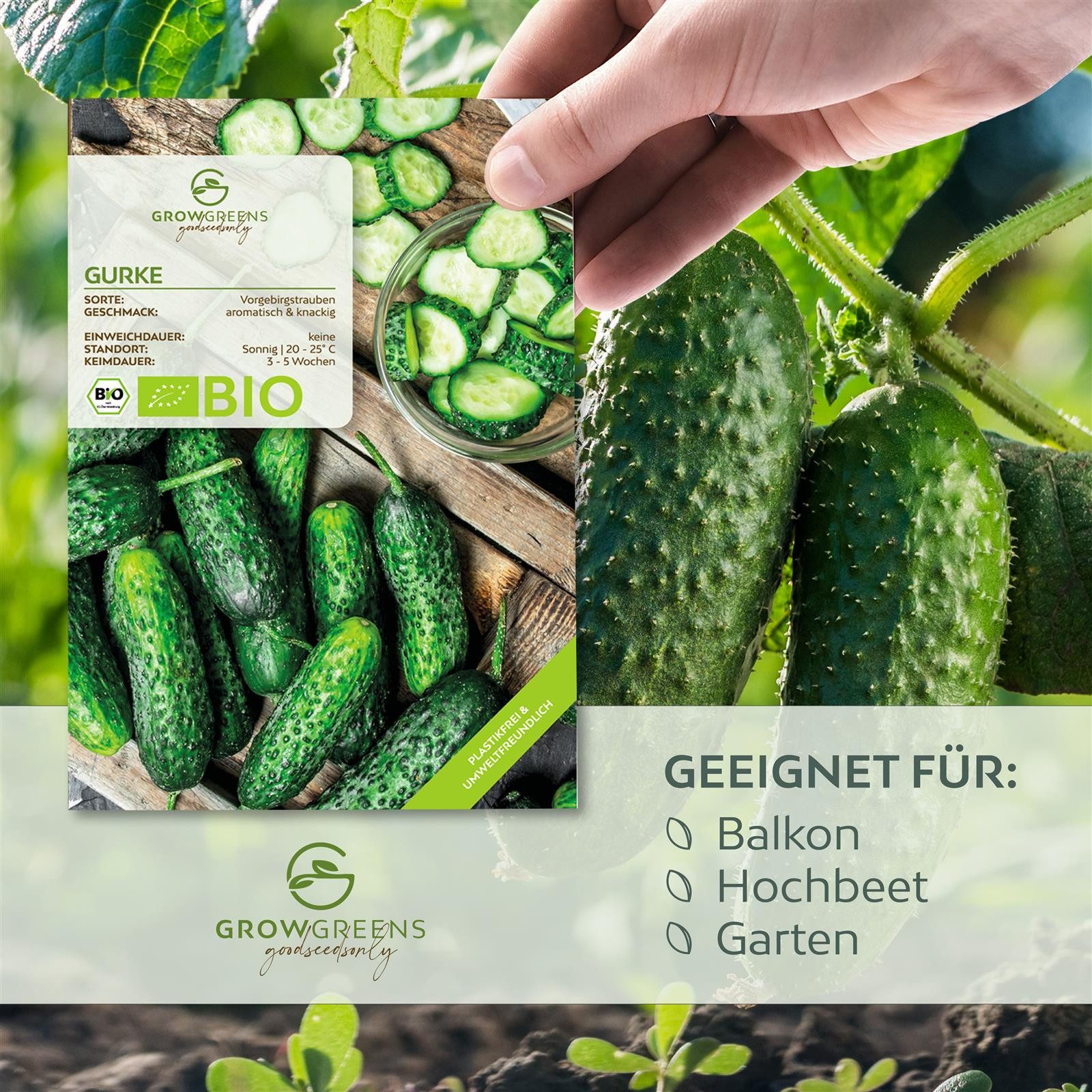 Growgreens Gemüsesamen BIO Gurken Samen (Vorgebirgstraube) günstig online kaufen