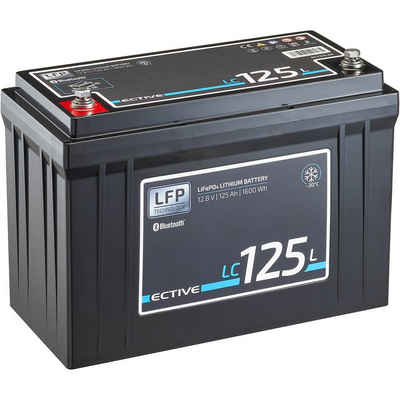ECTIVE ECTIVE 12V 125Ah LiFePo4 Solar Batterie Lithium BMS Wohnmobil Camper Batterie, (12 V V)