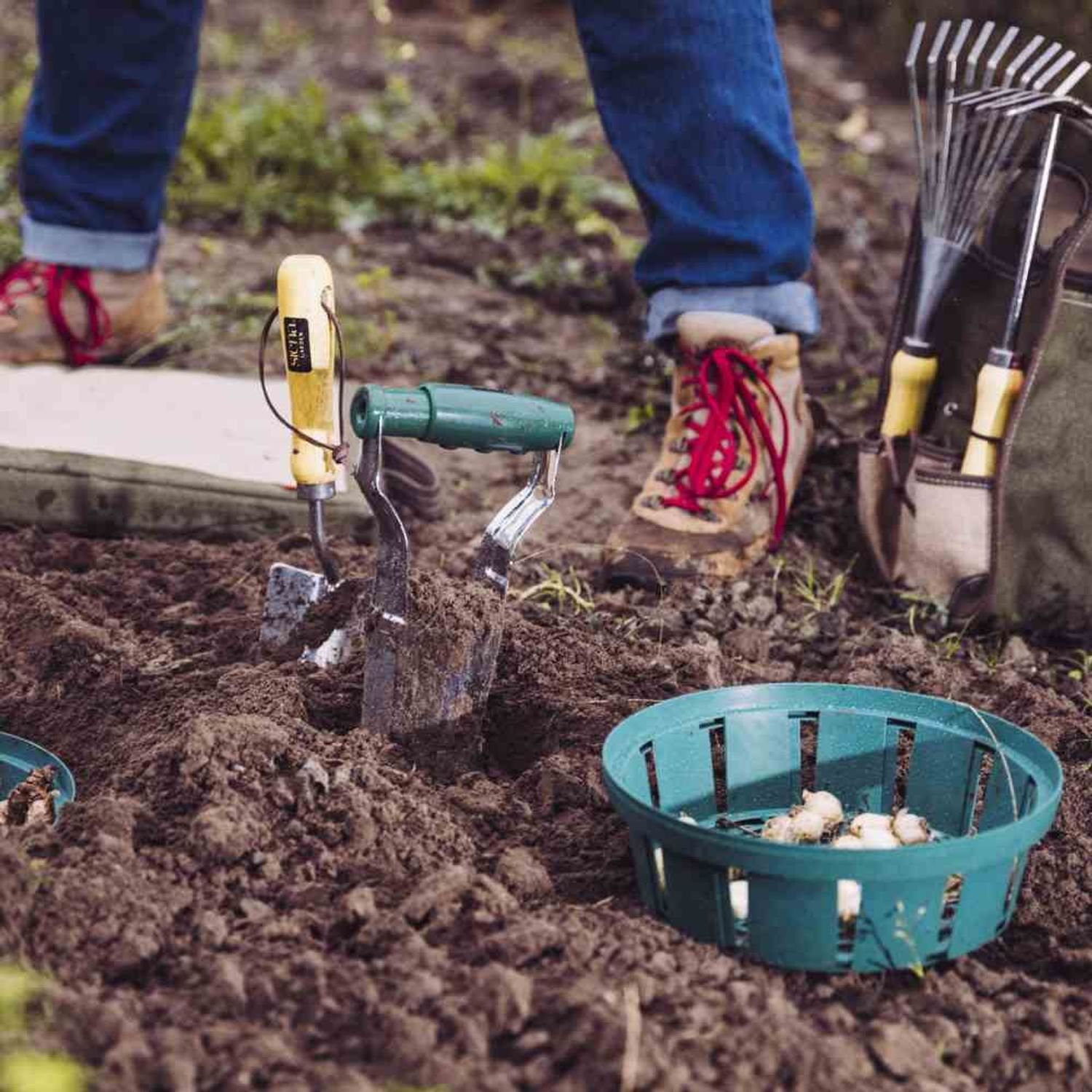 Siena Garden Pflanzschale Blumenzwiebel-Pflanzschale 22cm rund günstig online kaufen