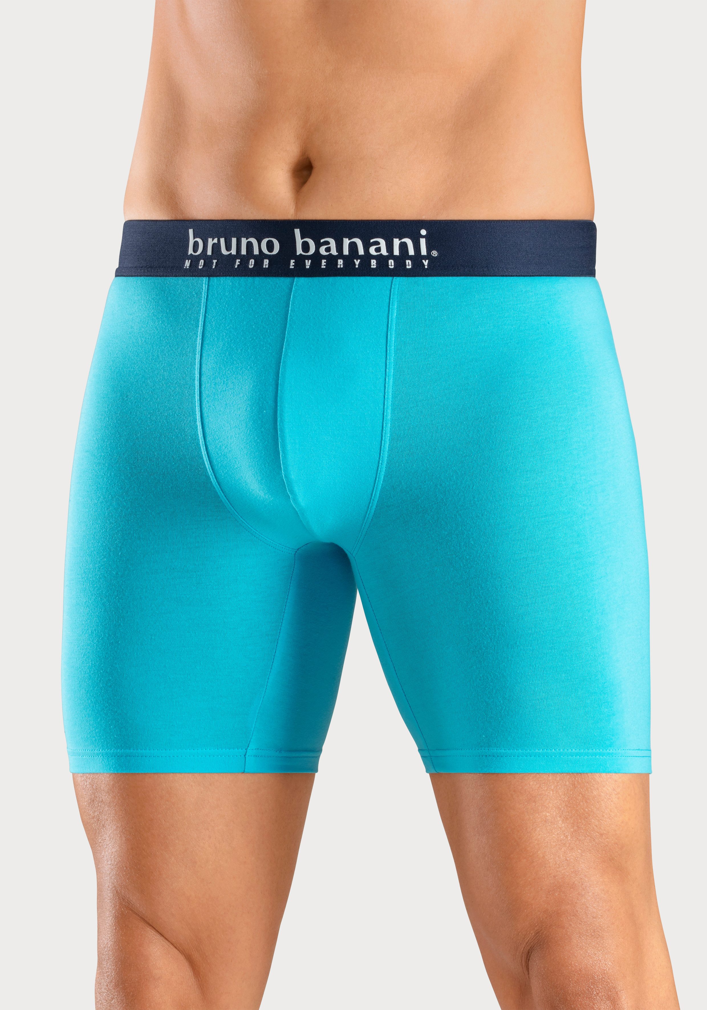 Bruno Banani Langer Boxer (Packung, 4-St., 4er-Pack) mit Palmendruck und unifarben aus Baumwollmischung