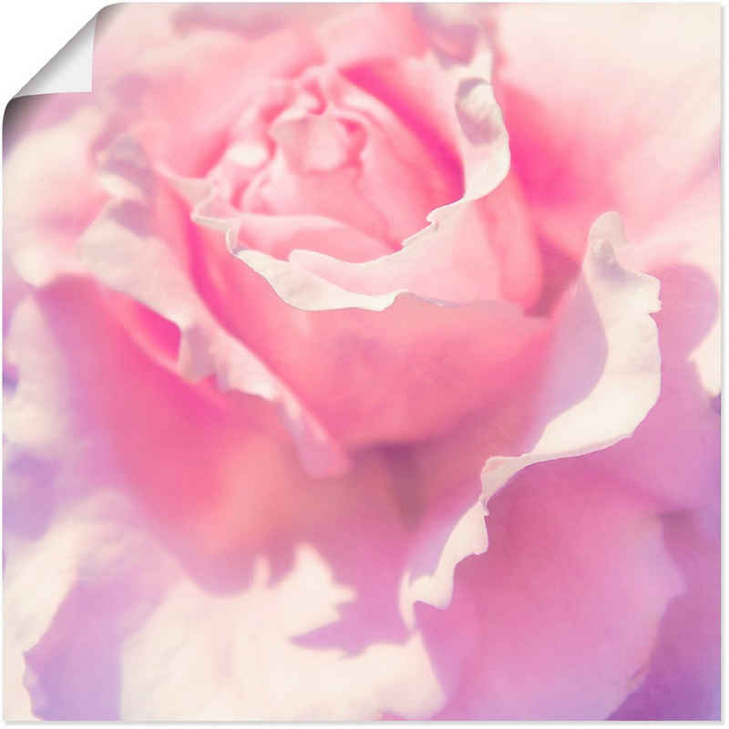 Artland Wandbild »Rosa«, Blumen (1 St), in vielen Größen & Produktarten - Alubild / Outdoorbild für den Außenbereich, Leinwandbild, Poster, Wandaufkleber / Wandtattoo auch für Badezimmer geeignet