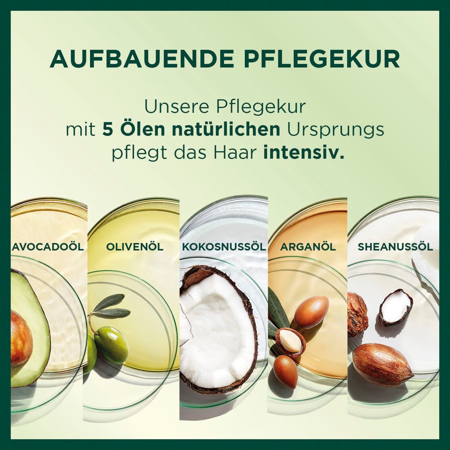 Creme Coloration Nutrisse GARNIER