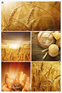 Wallario Sichtschutzzaunmatten Getreide und Brotsorten aus Weizen