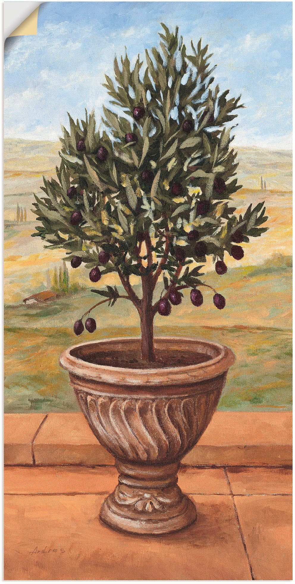 Artland Wandbild Olivenbaum, Pflanzen (1 St), als Alubild, Leinwandbild, Wandaufkleber oder Poster in versch. Größen