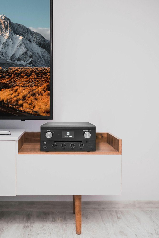 Dual Internet-Radio (Bluetooth;Wlan)