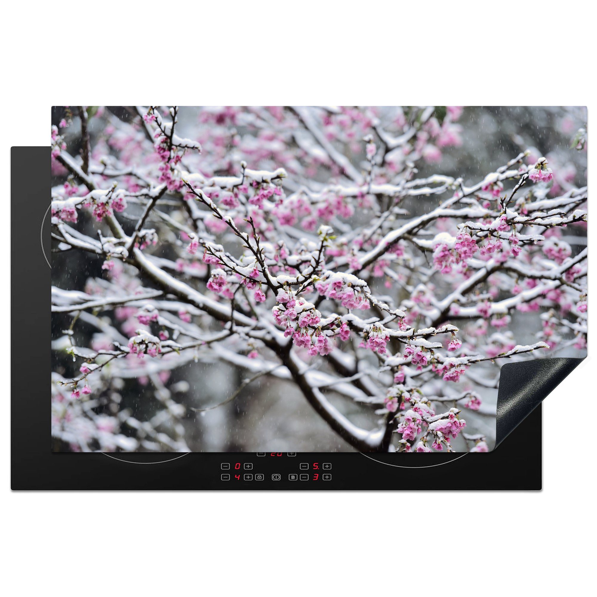 MuchoWow Herdblende-/Abdeckplatte Nahaufnahme einer verschneiten Sakura, Vinyl, (1 tlg), 81x52 cm, Induktionskochfeld Schutz für die küche, Ceranfeldabdeckung