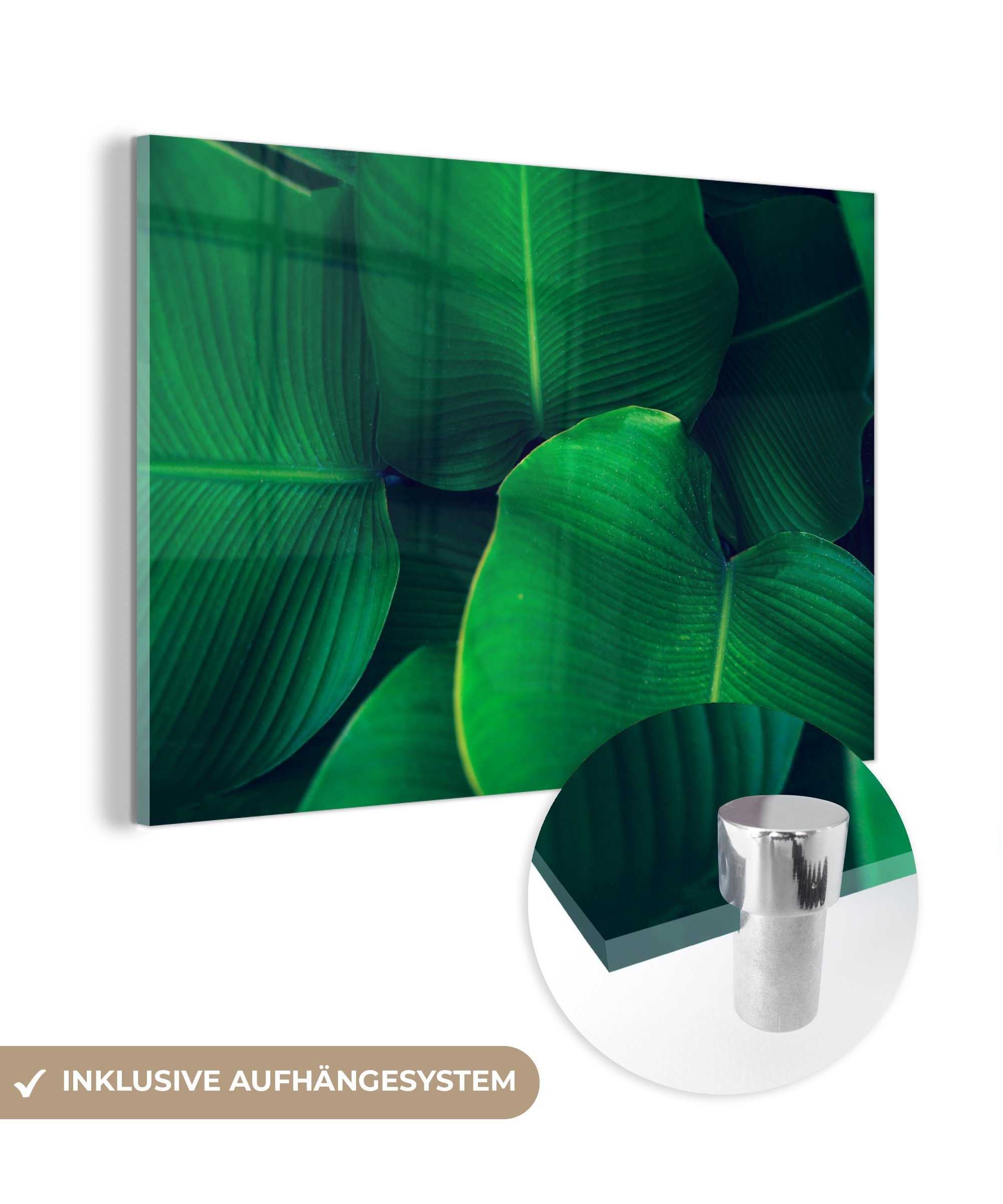 MuchoWow Acrylglasbild Pflanzen - Tropisch - Grün, (1 St), Acrylglasbilder Wohnzimmer & Schlafzimmer