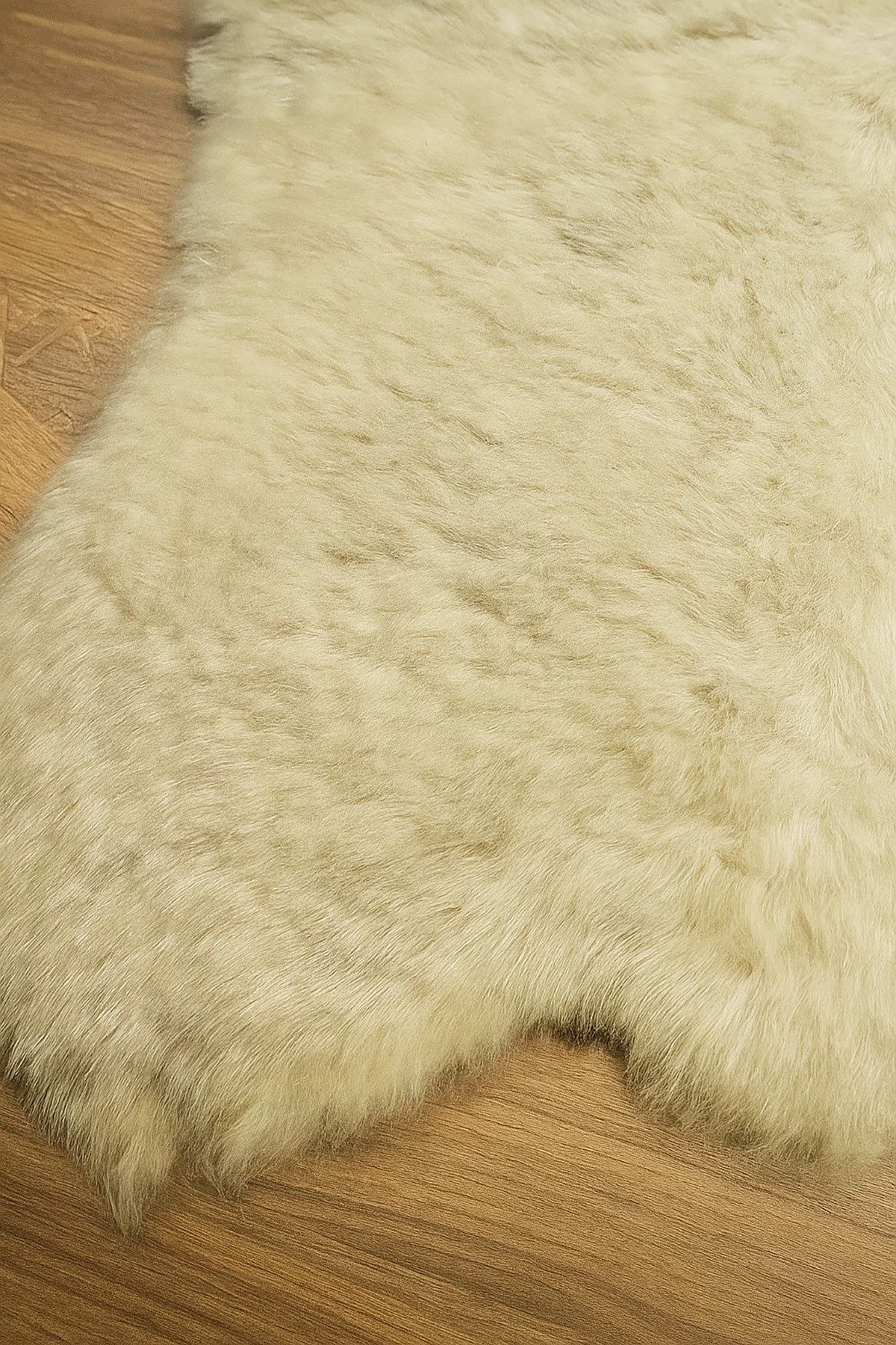 Provellus Fellteppich Deutsches Kurzhaar Schaffell Creme – Echt, dicht & kurz, 60-80 cm – Bild 4 von 5