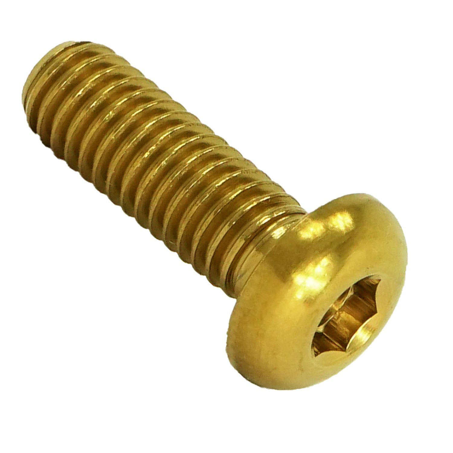 Fantic26 Dämpferpumpe Titan M5x25 Linsenkopfschraube Iso 7380 Gold