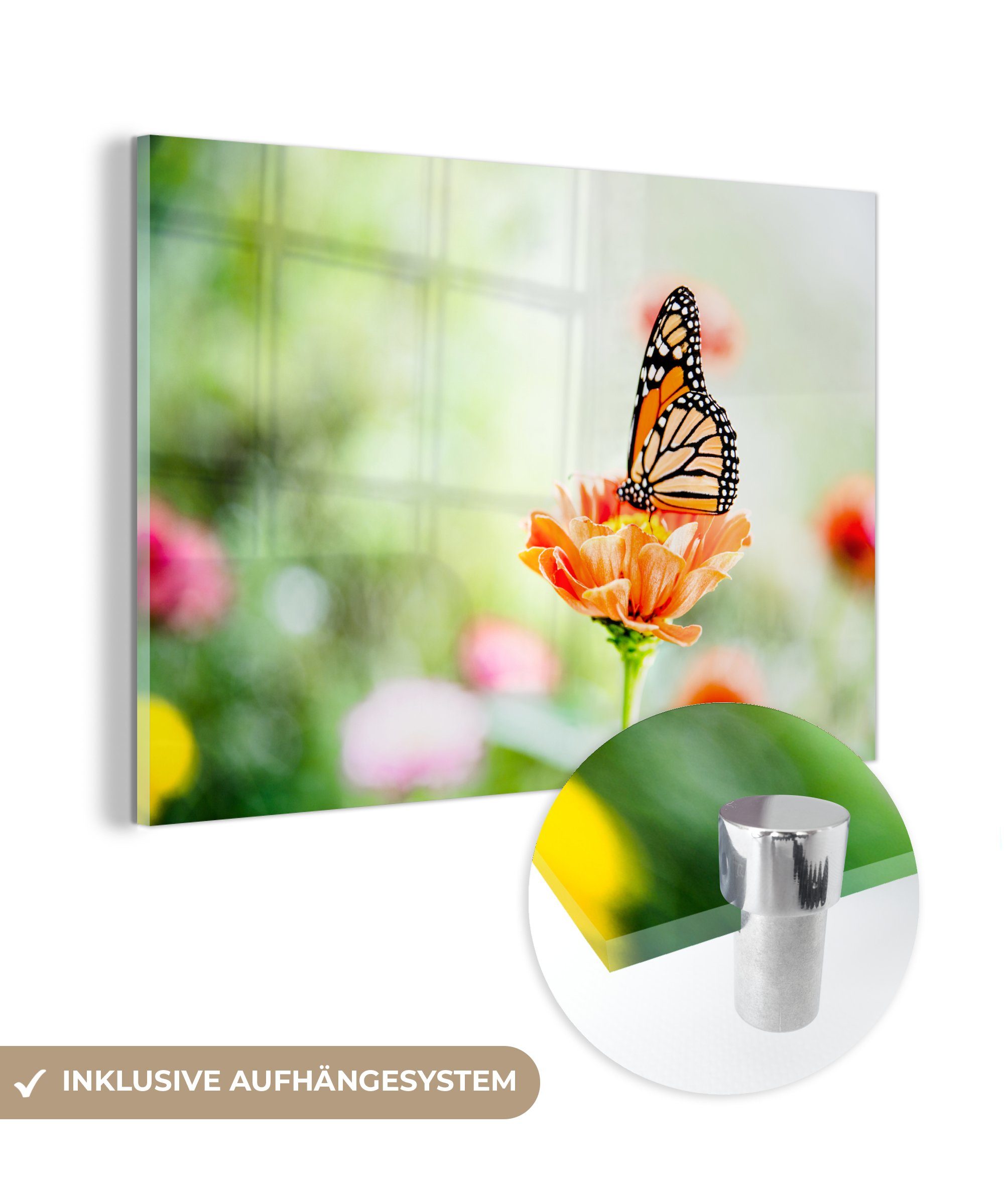 MuchoWow Acrylglasbild Oranger Schmetterling in einem Blumenfeld, (1 St), Acrylglasbilder Wohnzimmer & Schlafzimmer