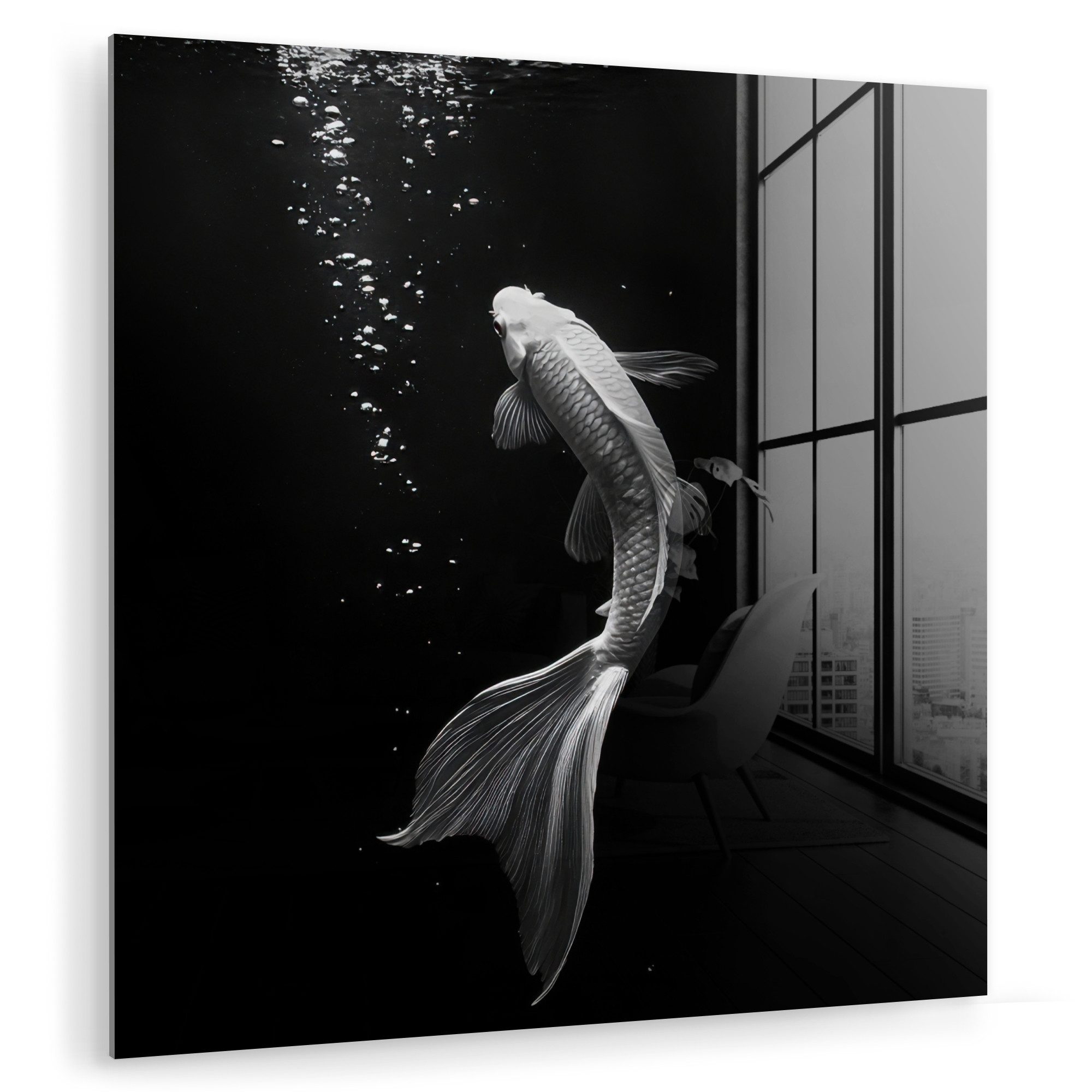 Acrylglasbild Koi - Fisch - Weiß - Schwarz