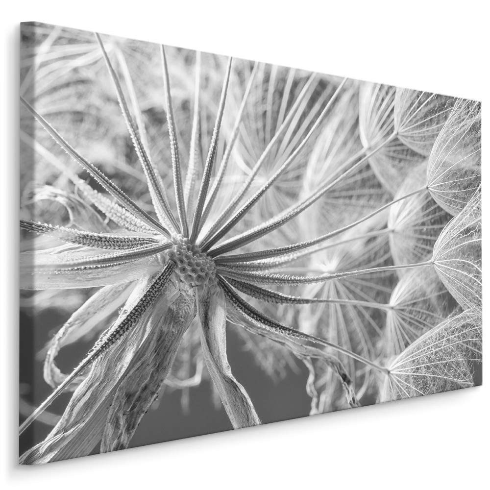 Muralo Leinwandbild Landschaft – Leinwandbild Wandbild Kunstdruck Wohnzimmer, Gewässer (1 St), Blumen – Pusteblumen – Löwenzahn, 30 x 20 cm, aufhängefertig