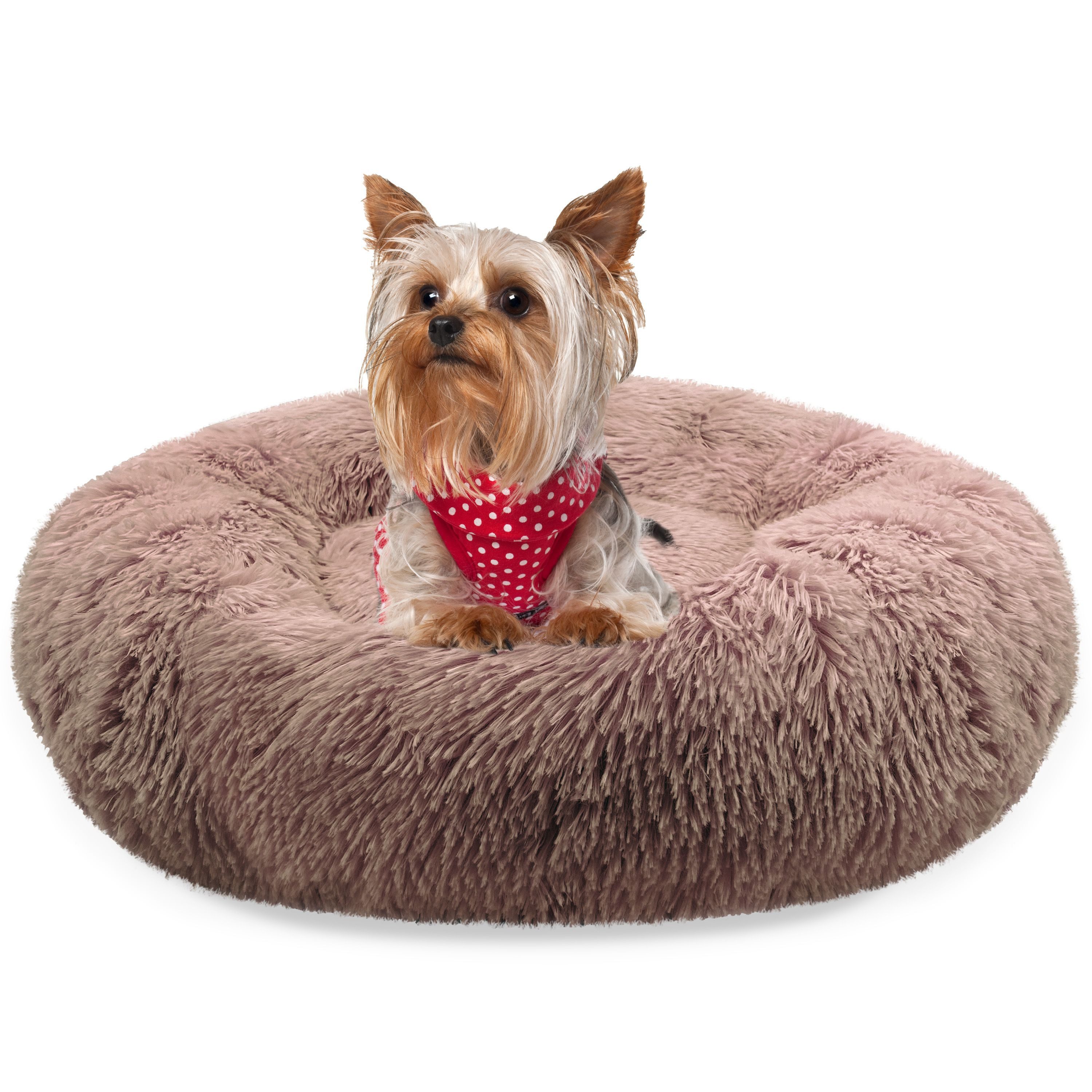 Bluzelle Tierbett Premium Hundebett Hundekissen Donut / Katzenbett Katzenkissen / XXS, Flauschig Kuschelig Weiches Kunstfell, für Kleine Hunde / Hundekorb / Rund Waschbar Plüsch Kissen Tier Bett