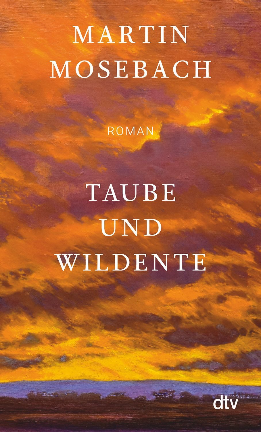 Taube und Wildente / Martin Mosebach