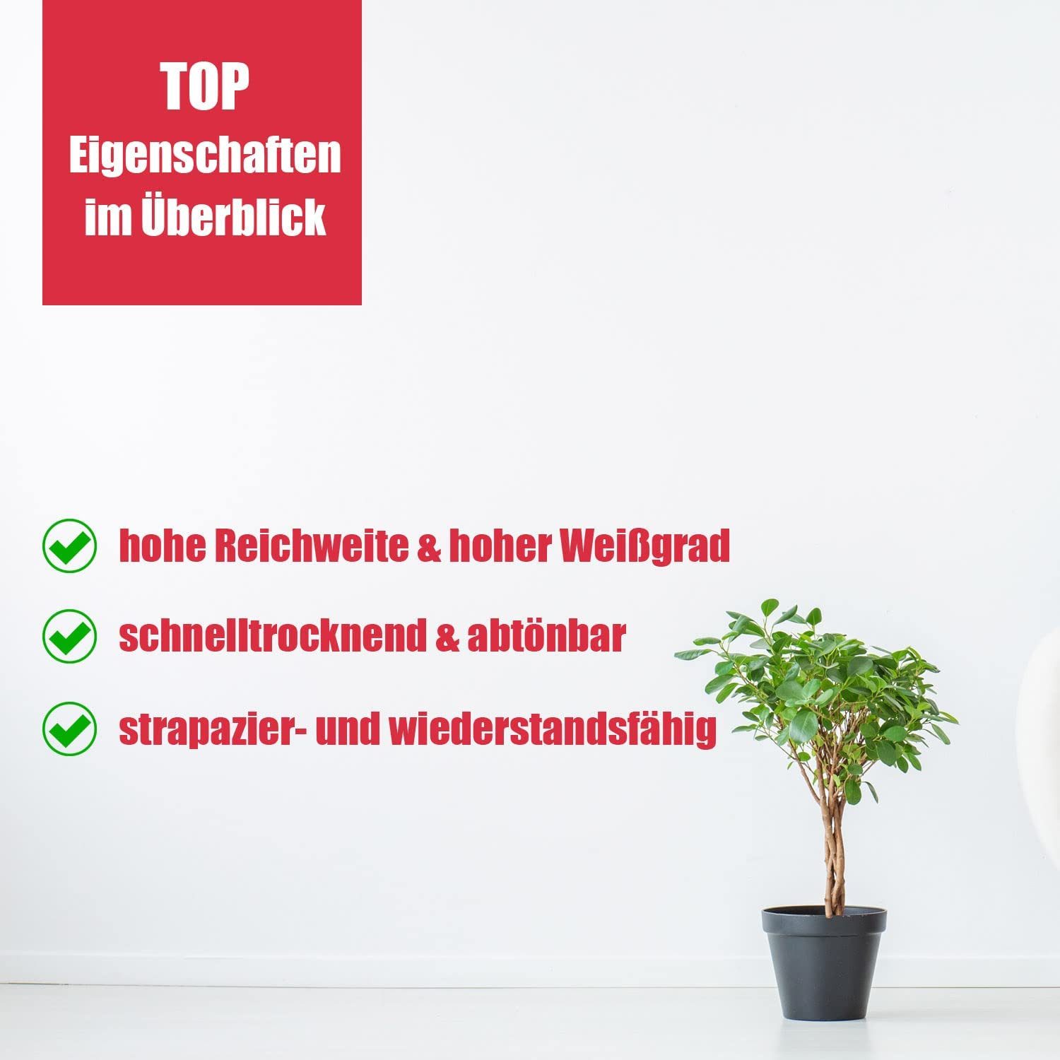 DICHTON Wand- und Deckenfarbe D.49W Anti Schimmel Farbe in matt weiß oder tönbar, weiß matt, Feuchtraumfarbe, Antischimmelfarbe – Bild 4 von 5