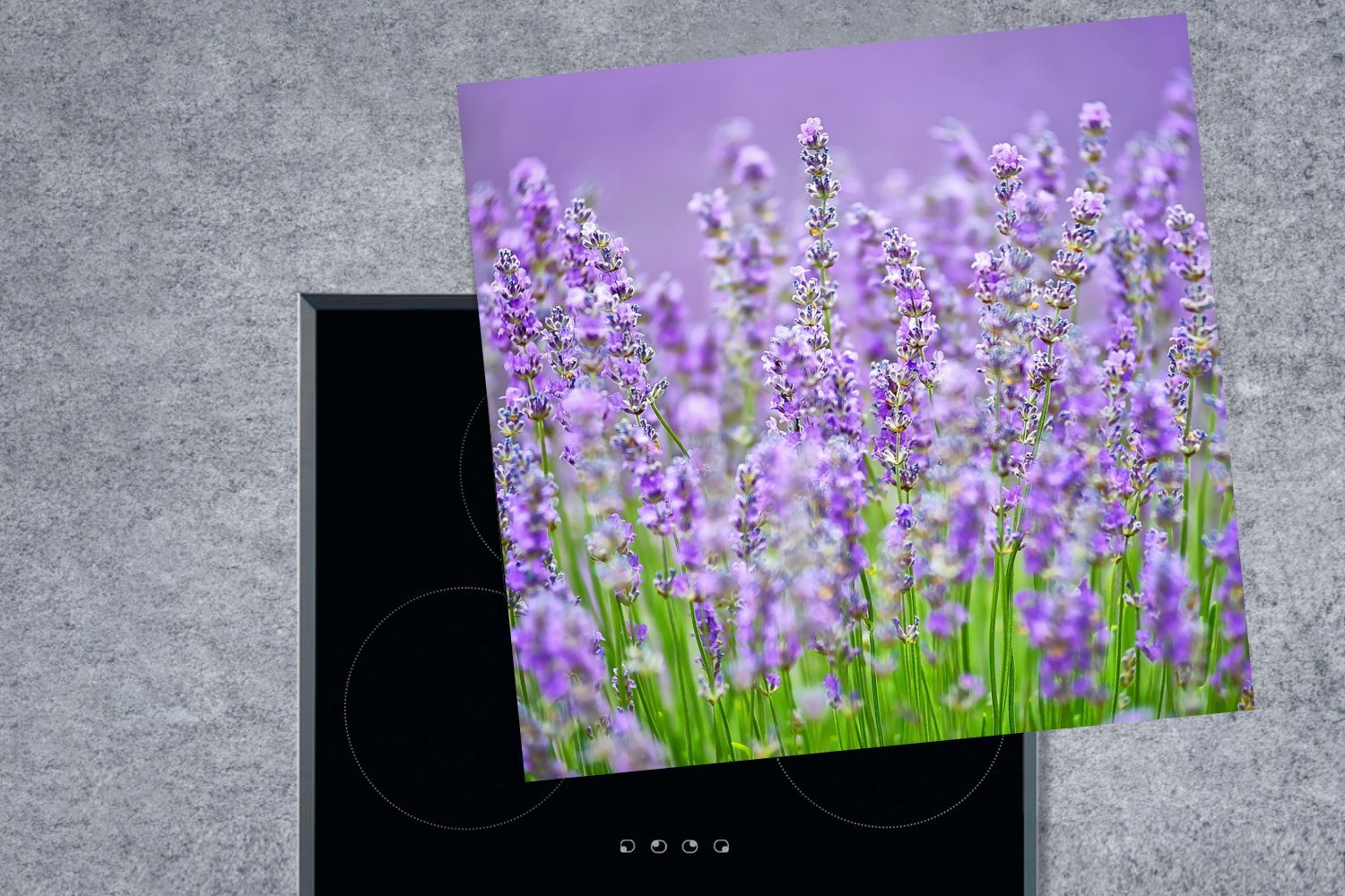 Lavendels, 78x78 (1 Herdblende-/Abdeckplatte tlg), wilden des Vinyl, violetten Ceranfeldabdeckung, Arbeitsplatte für cm, küche MuchoWow Nahaufnahme