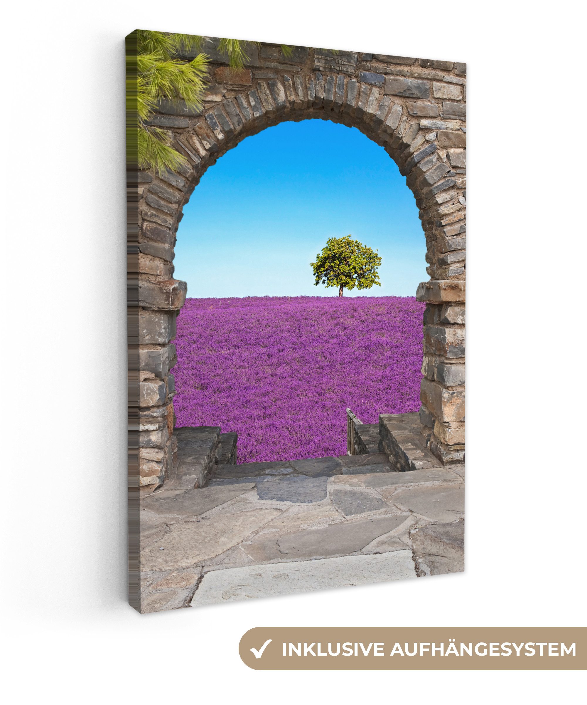 OneMillionCanvasses® Leinwandbild Blumen - Lavendel - günstig online kaufen