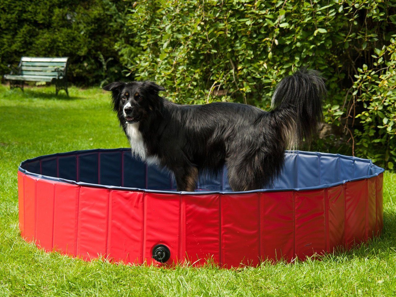 Procyon Hundepool stabiler Pool für Hunde und Kleintiere, stabile Ausführung, dicke Seitenwände
