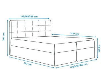 Furnix Boxspringbett FISON 140/160/180x200 Polsterbett mit Bettkasten und Kopfteil, 210x145/165/185x104 cm, hochwertiger Polsterstoff