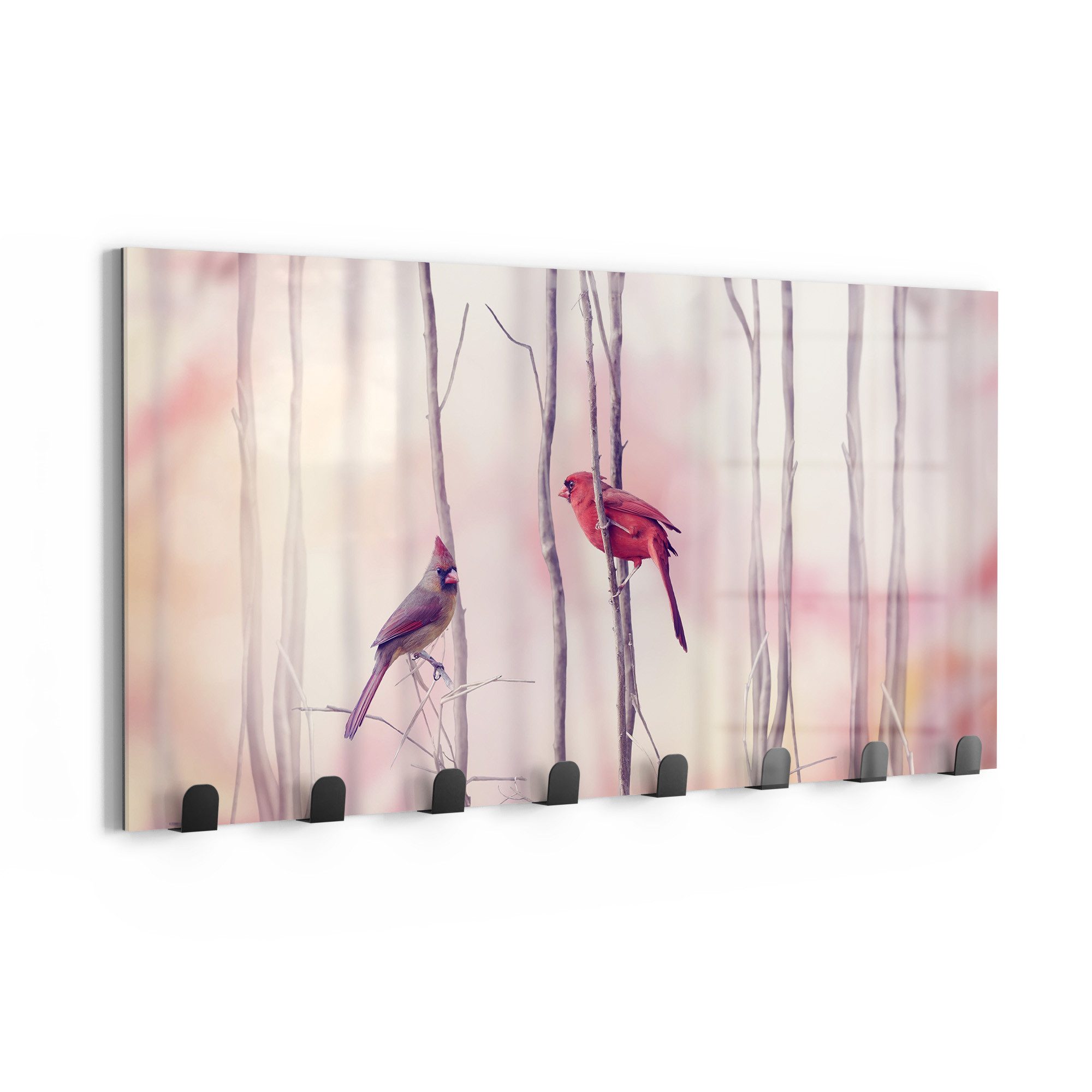 DEQORI Kleiderhaken 'Gefiederte Freunde', Glas Garderobe Paneel magnetisch beschreibbar