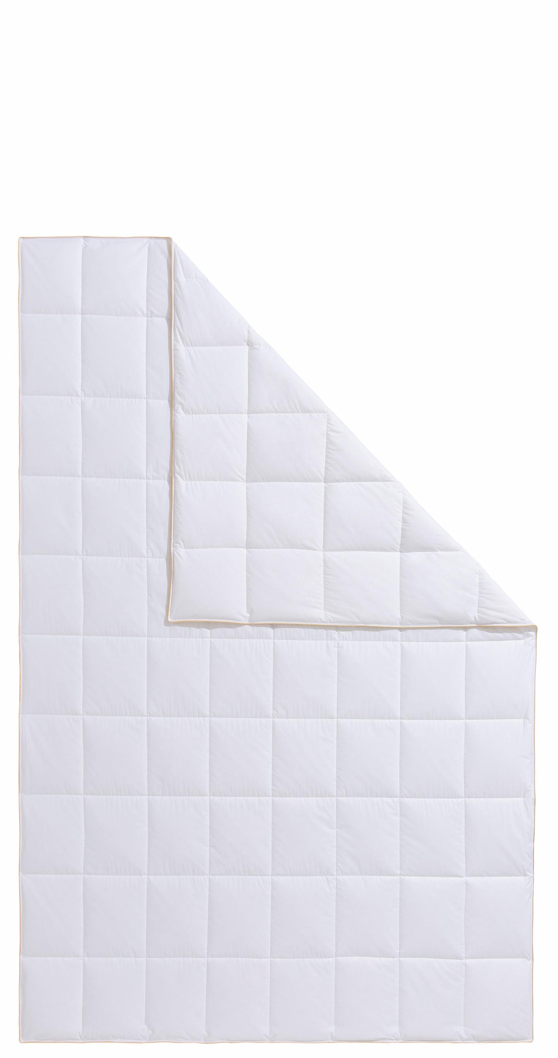 Frau Holle Daunenbettdecke Zara, Bettdecken für Sommer oder Winter, hergestellt in Deutschland, Füllung: 100% Daunen, Bezug: 100% Baumwolle, Bettdecke in 135x200 cm, 155x220 cm und weiteren Größen