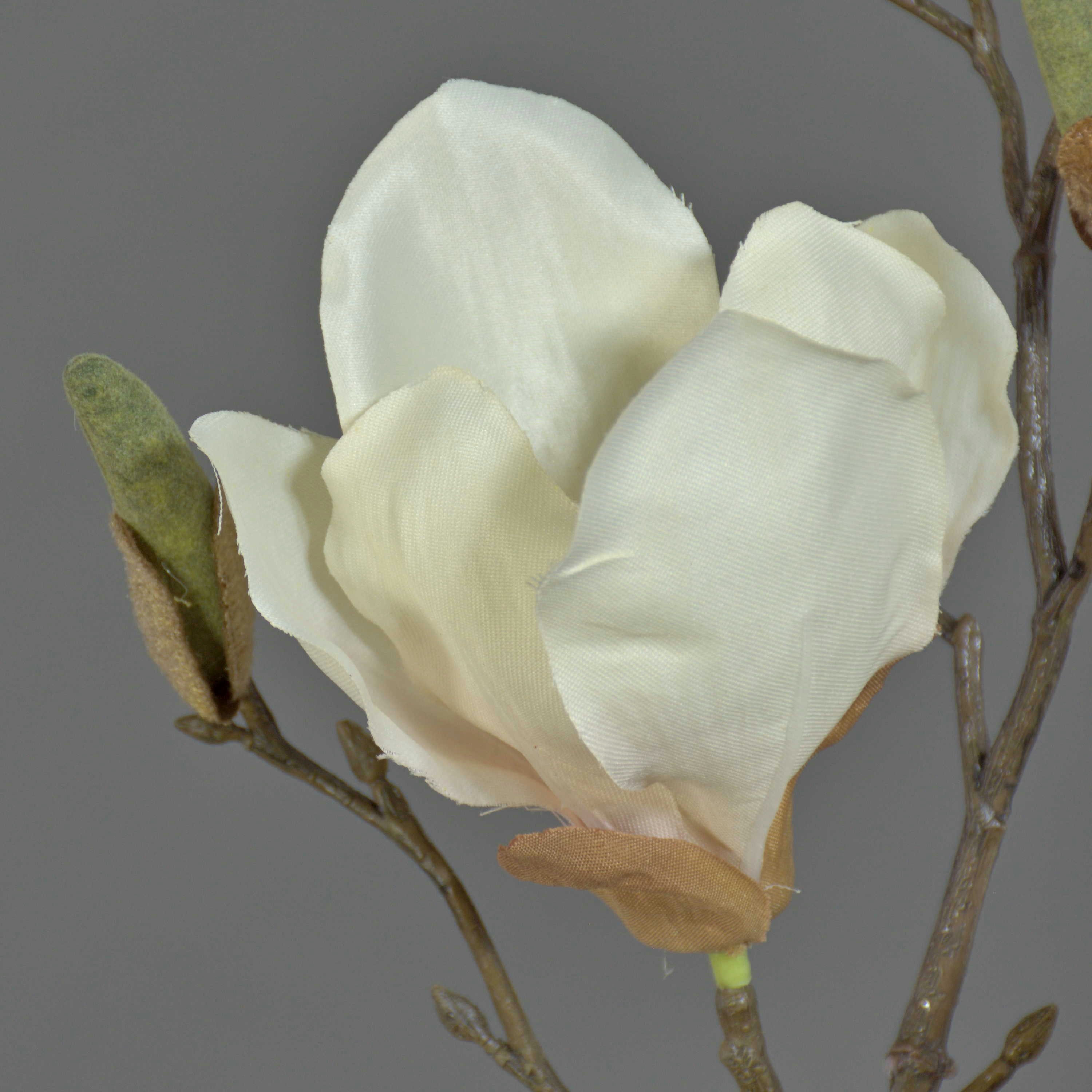 Kunstzweig Künstlicher Magnolien Zweig MALBINE, 2 Blüten, weiß - rosa, 50cm Magnolie, artplants, Höhe 50.0 cm