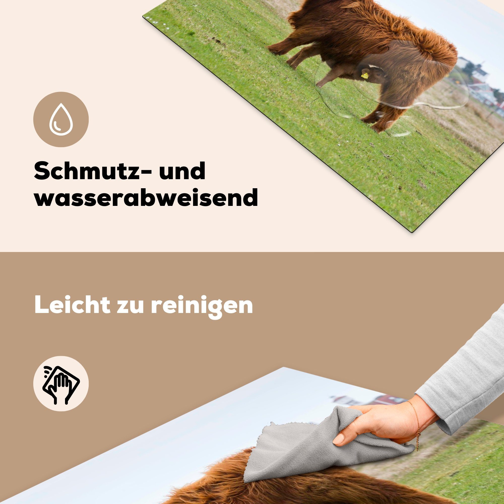 Ceranfeldabdeckung Herdblende-/Abdeckplatte - tlg), Highlander Gras, für MuchoWow Vinyl, Schottischer küche, Schutz Kuh (1 - Induktionskochfeld cm, 81x52 die