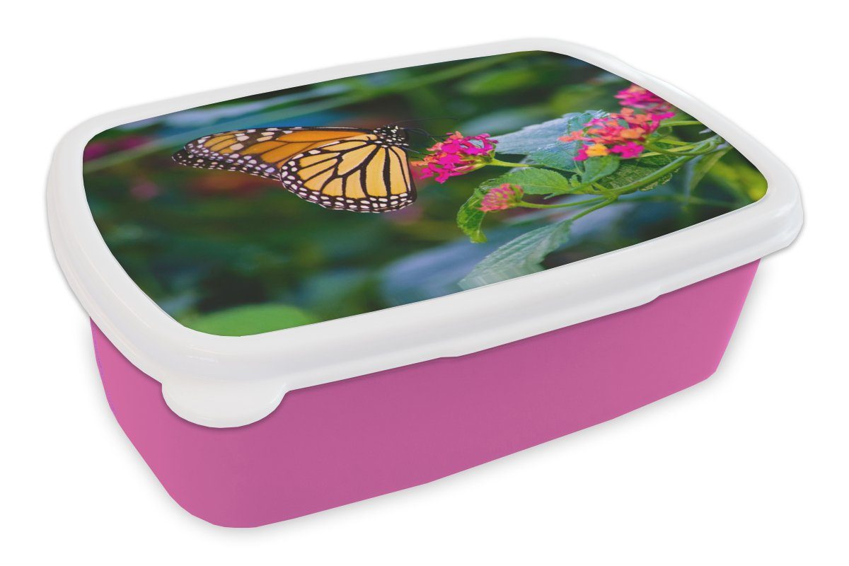 MuchoWow Lunchbox Schmetterlinge - Blume - Natur, Kunststoff, (2-tlg), Brotbox für Erwachsene, Brotdose Kinder, Snackbox, Mädchen, Kunststoff rosa