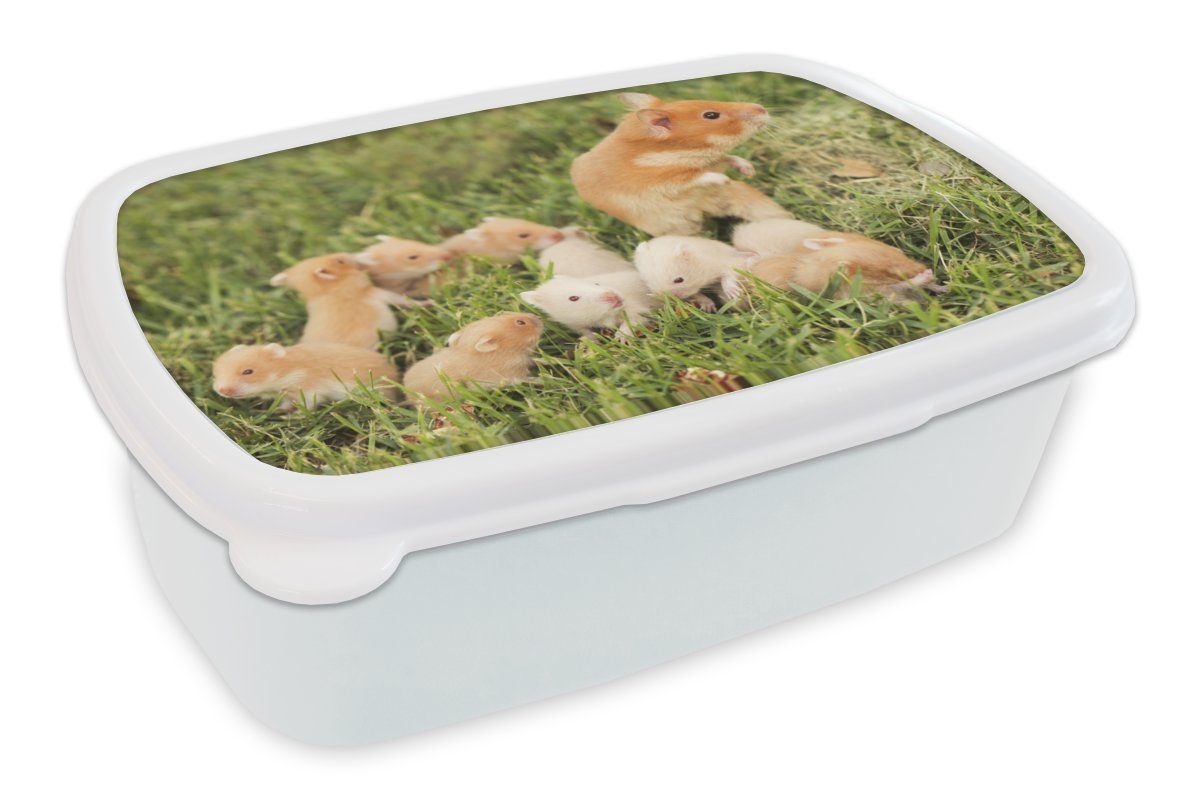 MuchoWow Lunchbox Goldhamster mit für weiß Kunststoff, Kinder für Jungs (2-tlg), und Brotdose, Junge, Erwachsene, Mädchen und Brotbox