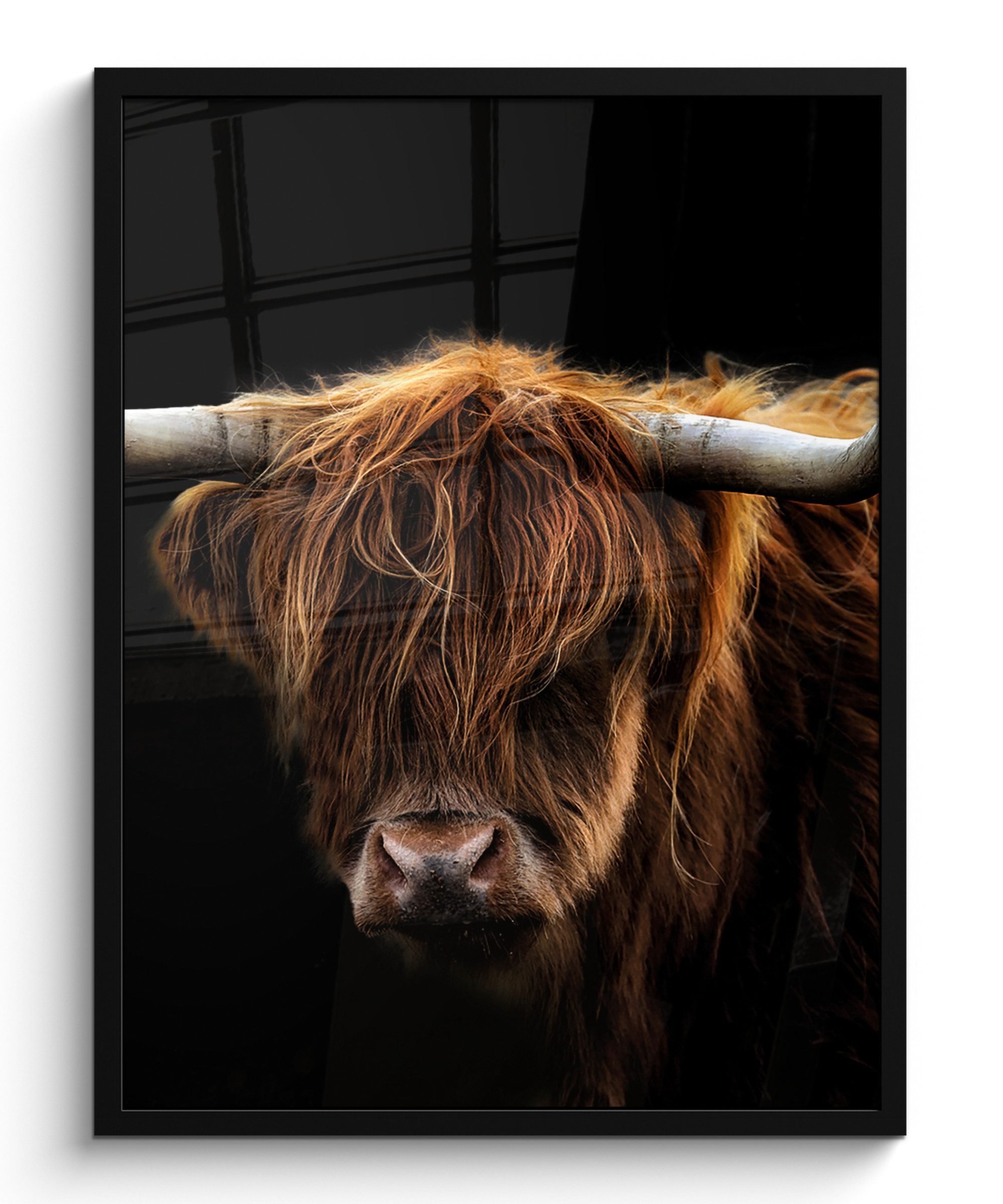MuchoWow Poster Schottischer Highlander