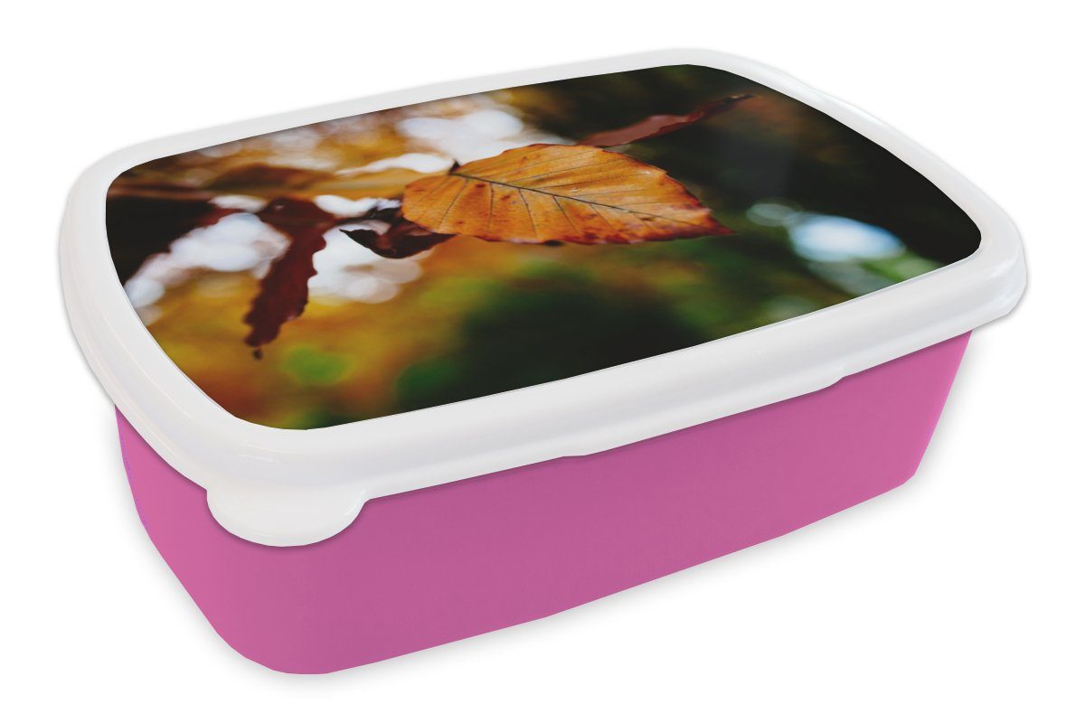 MuchoWow Lunchbox Buche - Herbst - Laub, Kunststoff, (2-tlg), Brotbox für Erwachsene, Brotdose Kinder, Snackbox, Mädchen, Kunststoff rosa