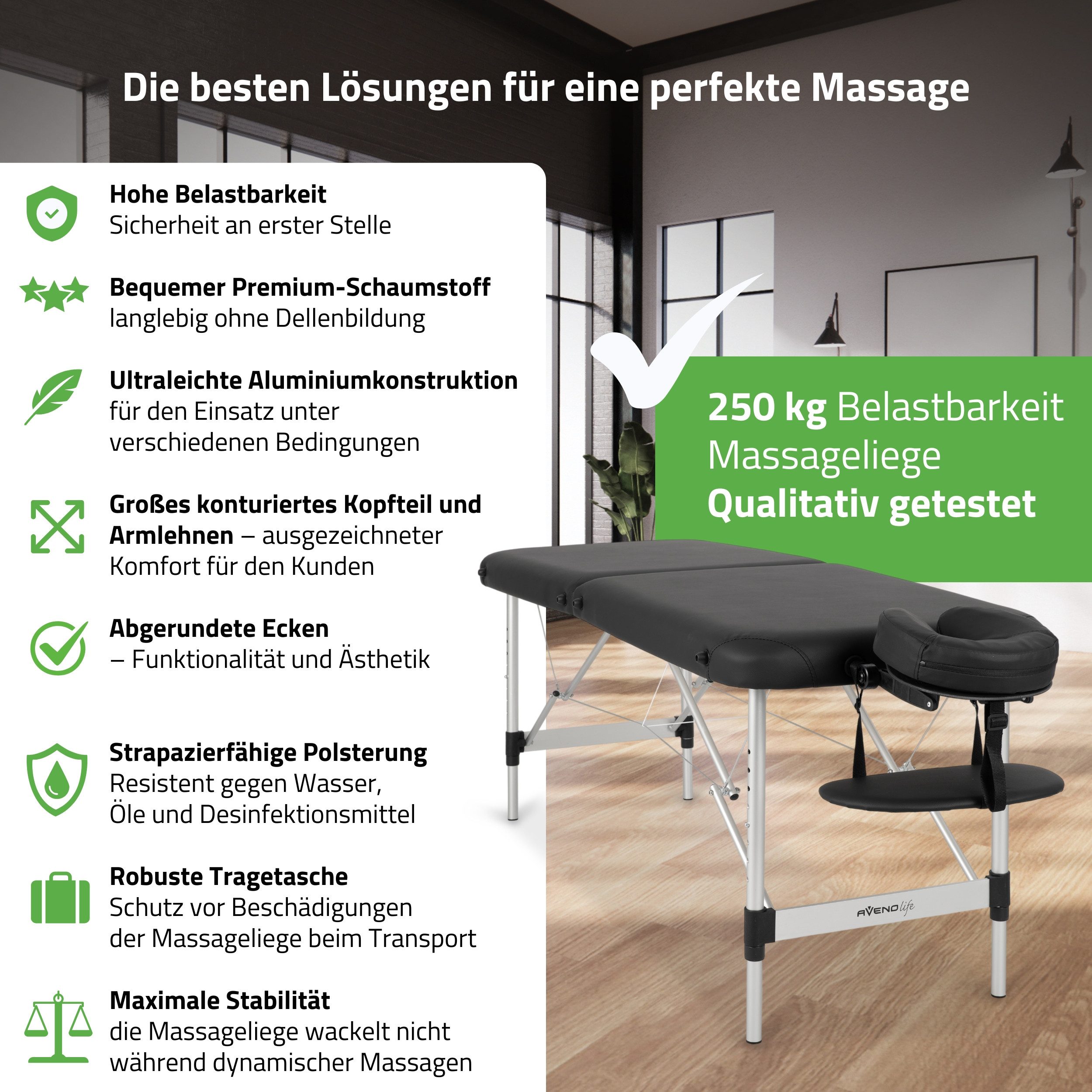 Habys Massageliege Nina 2 Zonen Kosmetikliege Tattooliege Klappbar, Aluminium