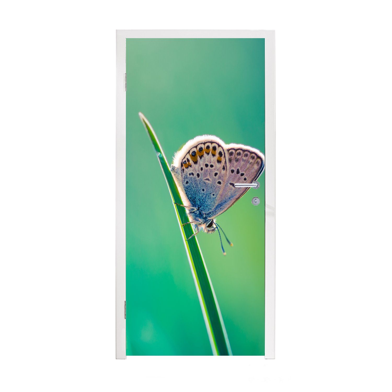 MuchoWow Türtapete Schmetterling - Gras - Licht, Matt, bedruckt, (1 St), Fototapete für Tür, Türaufkleber, 75x205 cm