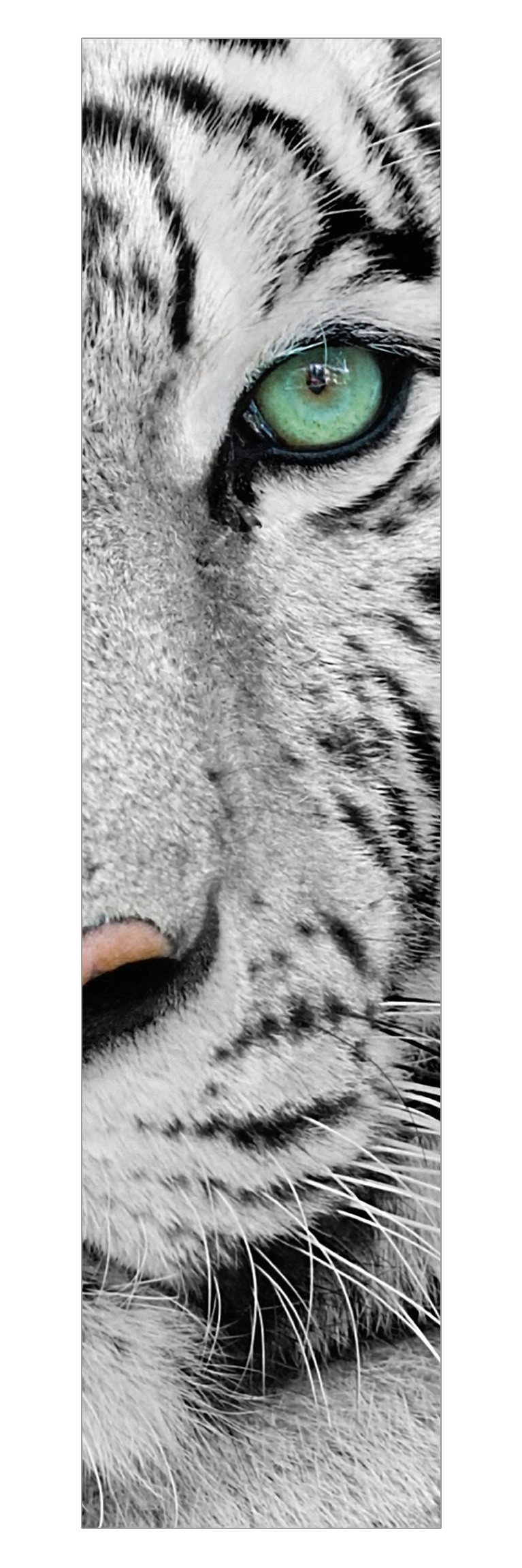 Bilderdepot24 Schiebegardine modern Flächenvorhang blickdicht Weißer Tiger (1 St), halbtransparent, Wohnzimmer große Flächengardine lichtdurchlässig als Klemm-System