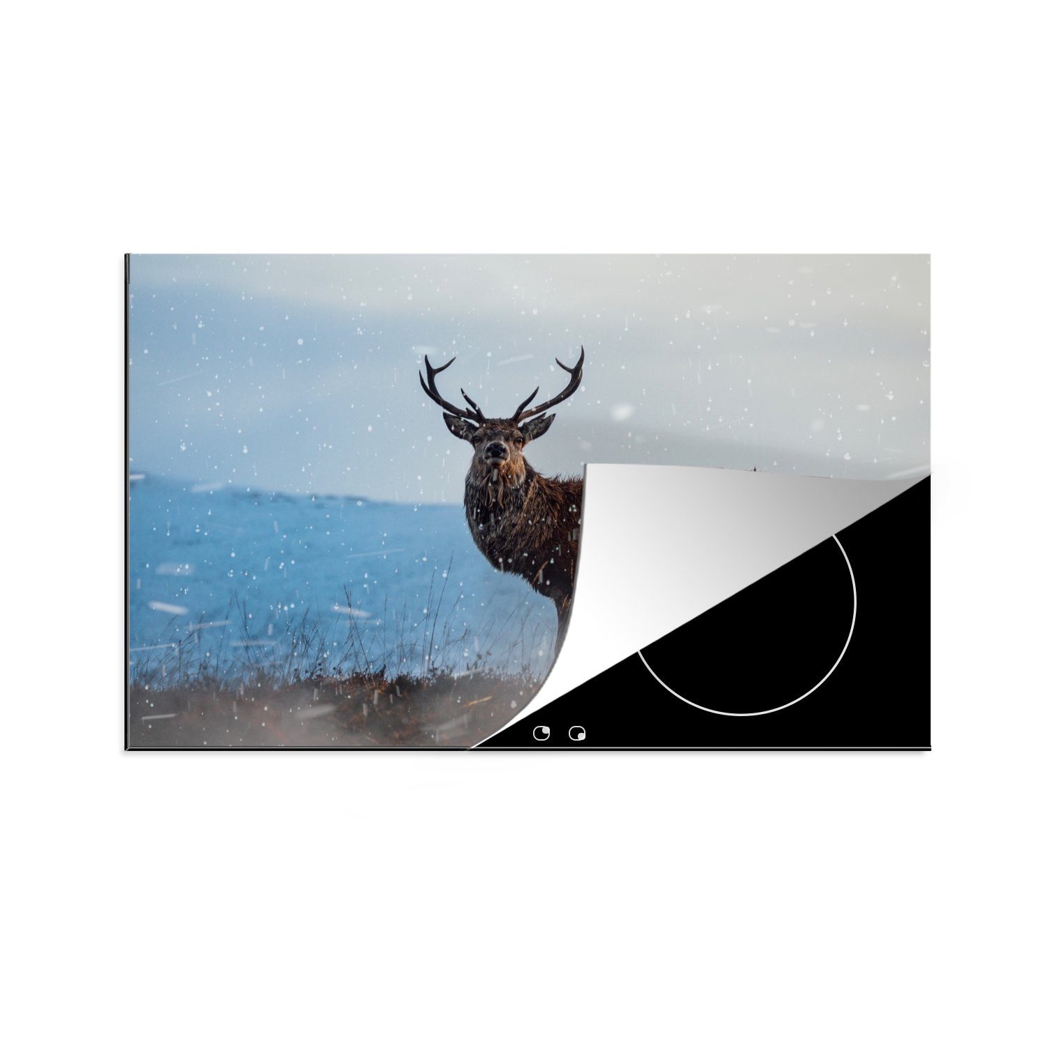 MuchoWow Herdblende-/Abdeckplatte Hirsche auf der verschneiten Heide, Vinyl, (1 tlg), 81x52 cm, Induktionskochfeld Schutz für die küche, Ceranfeldabdeckung