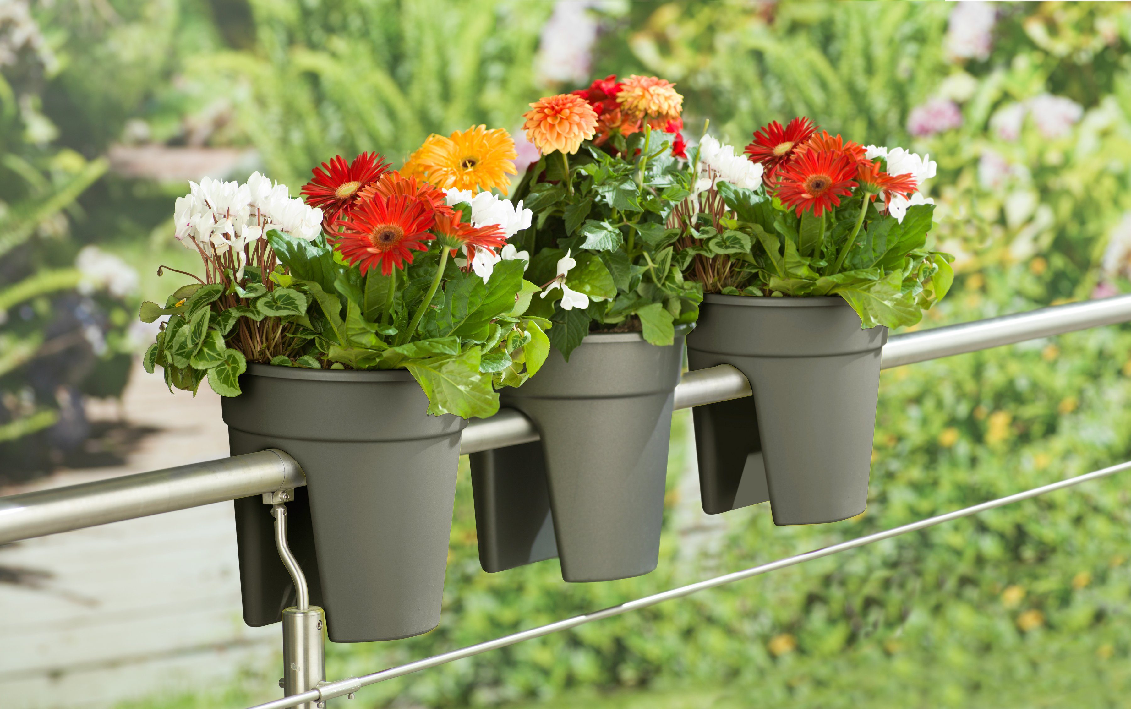 Balkonkasten Flowerclip