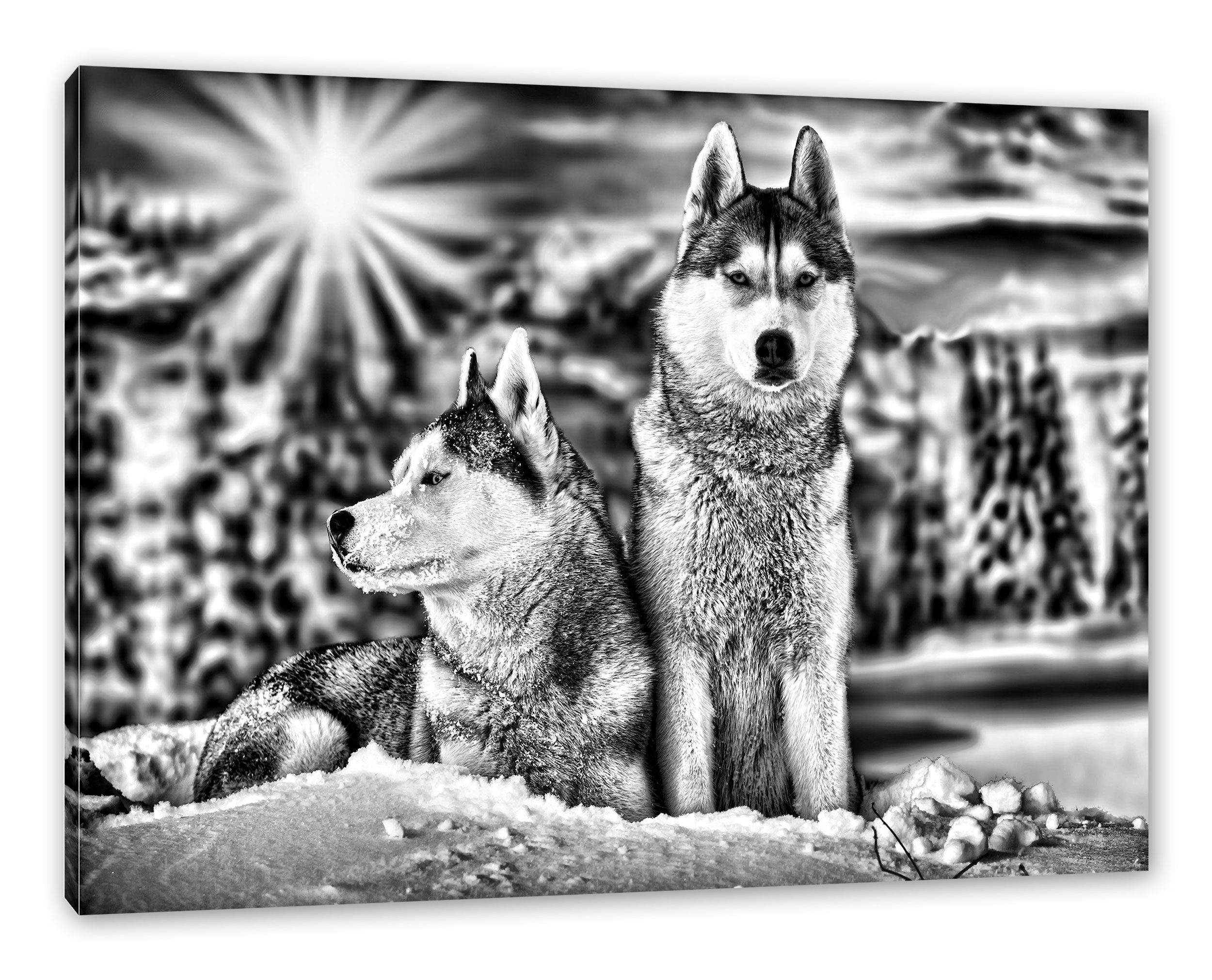 Pixxprint Leinwandbild Zwei wilde Huskies, Zwei wilde Huskies (1 St), Leinwandbild fertig bespannt, inkl. Zackenaufhänger