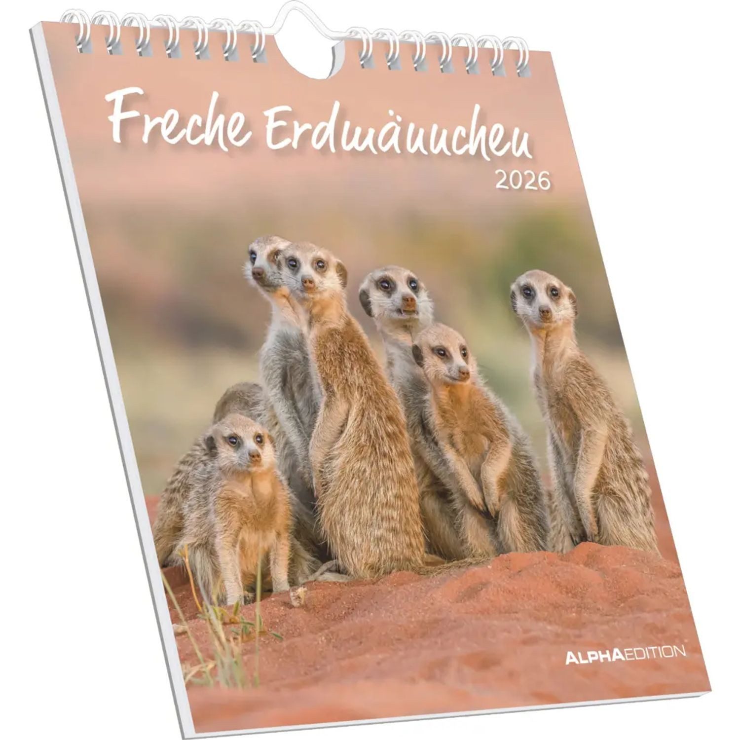 Alpha Edition Wandkalender Alpha Edition - Freche Erdmännchen 2026 - Postkartenkalender 16×17...
