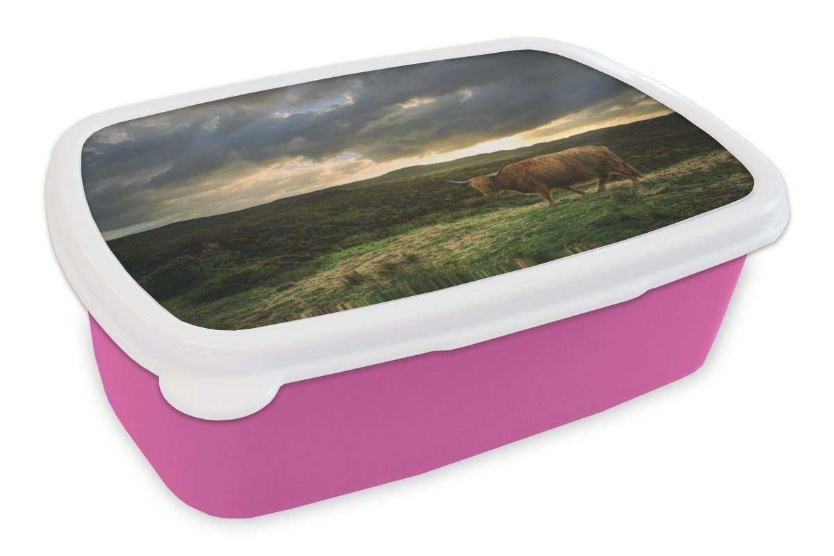 MuchoWow Lunchbox Schottischer Hochländer - Landschaft - Kuh, Kunststoff, (2-tlg), Brotbox für Erwachsene, Brotdose Kinder, Snackbox, Mädchen, Kunststoff rosa
