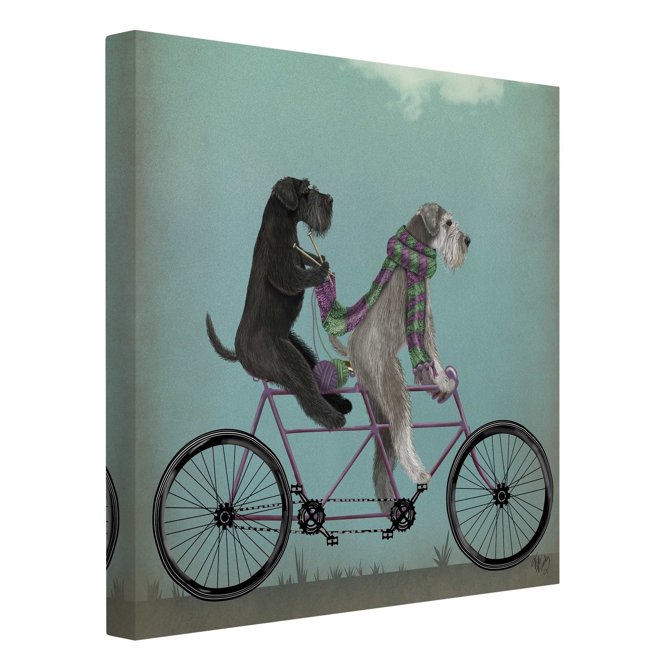 Leinwandbild Tiere Radtour Schnauzer Tandem creme beige Bild auf Leinwand Groß XXL